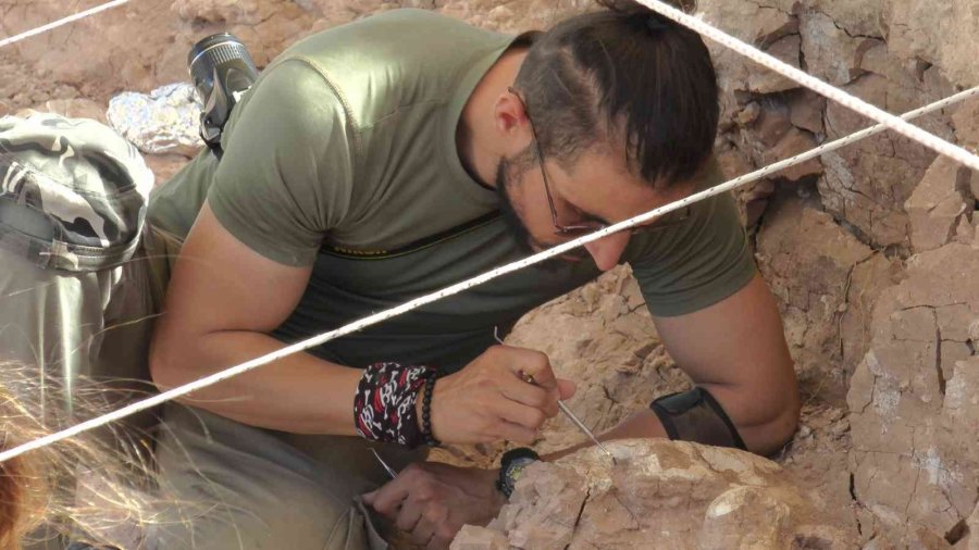 O Bölgede Tarihi Gelişme