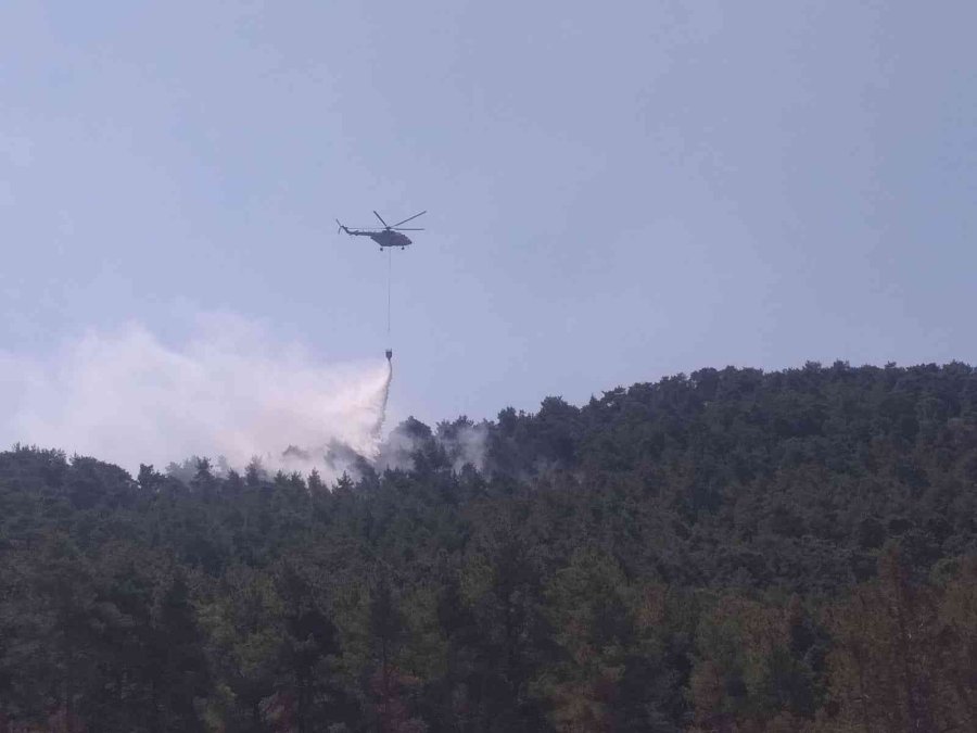 Şimşekler Orman Yangını Çıkardı