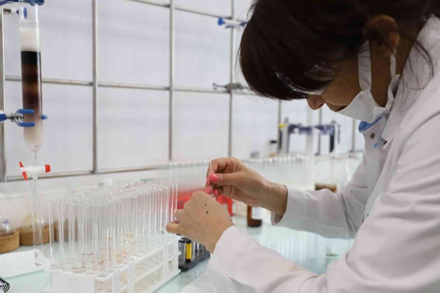 Neü, En Başarılı Türk Araştırma Kuruluşları Arasında Yer Aldı