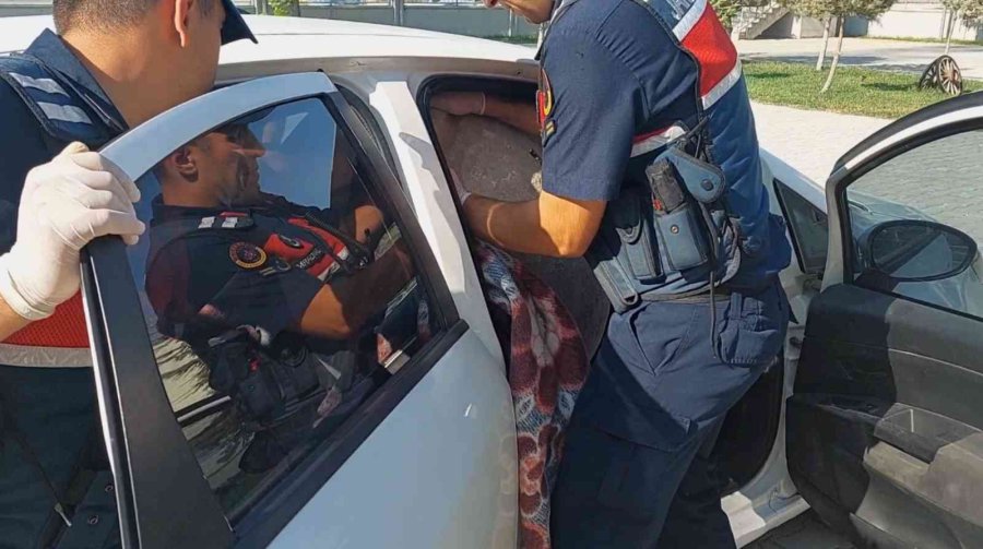 Bizans’ın 11 Asırlık Pithos Küpünü Aracın Ön Koltuğunda Götürürken Yakalandı