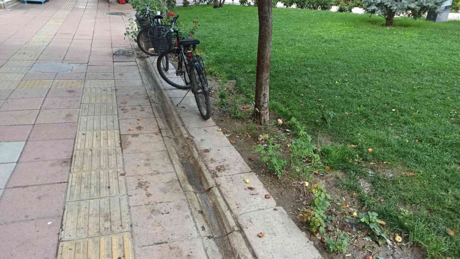 Toplanmayan Elmalar Dalında Çürüdü