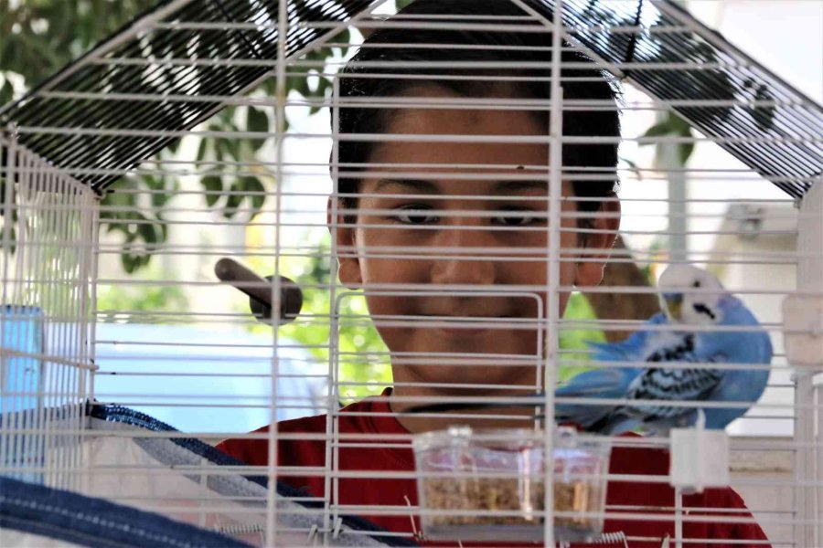 ’hayat Arkadaşım’ Dediği Kuşu Antalya’da Kayboldu, Mersin’de Bulundu