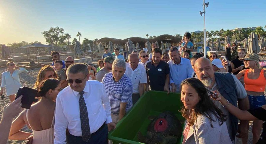 Caretta Caretta ’lara Barış’ın 600 Kilometrelik Yolculuğunu 29 Bin Kişi Görüntüledi