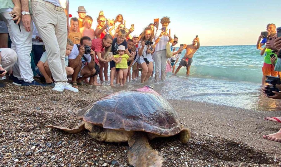 Caretta Caretta ’lara Barış’ın 600 Kilometrelik Yolculuğunu 29 Bin Kişi Görüntüledi