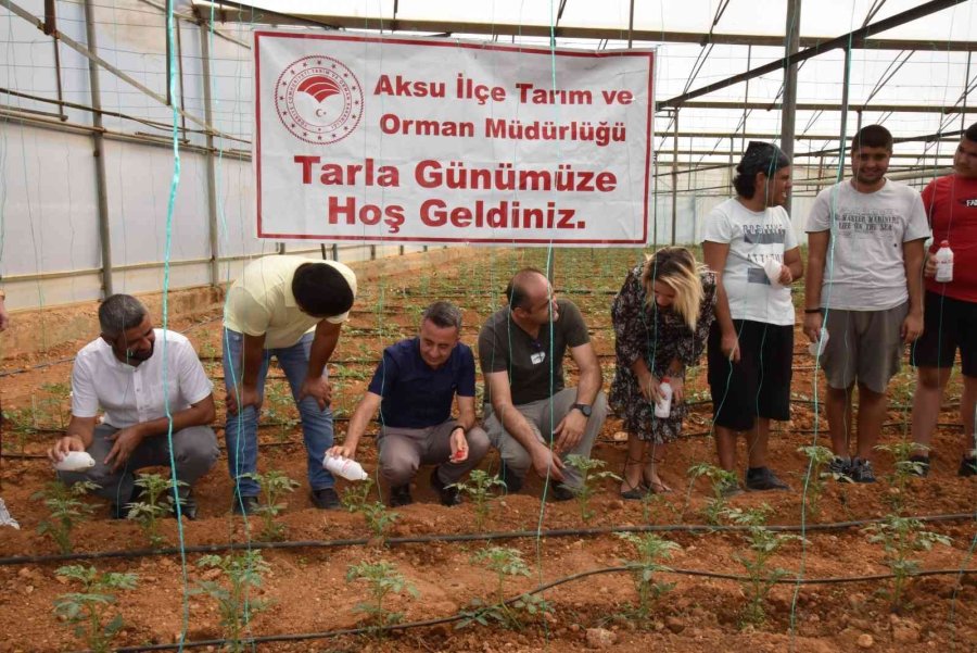 Otizmli Gençler Domates Serasına Faydalı Böcek Bıraktı