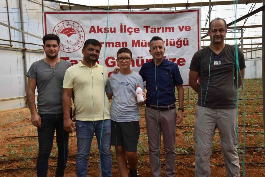 Otizmli Gençler Domates Serasına Faydalı Böcek Bıraktı