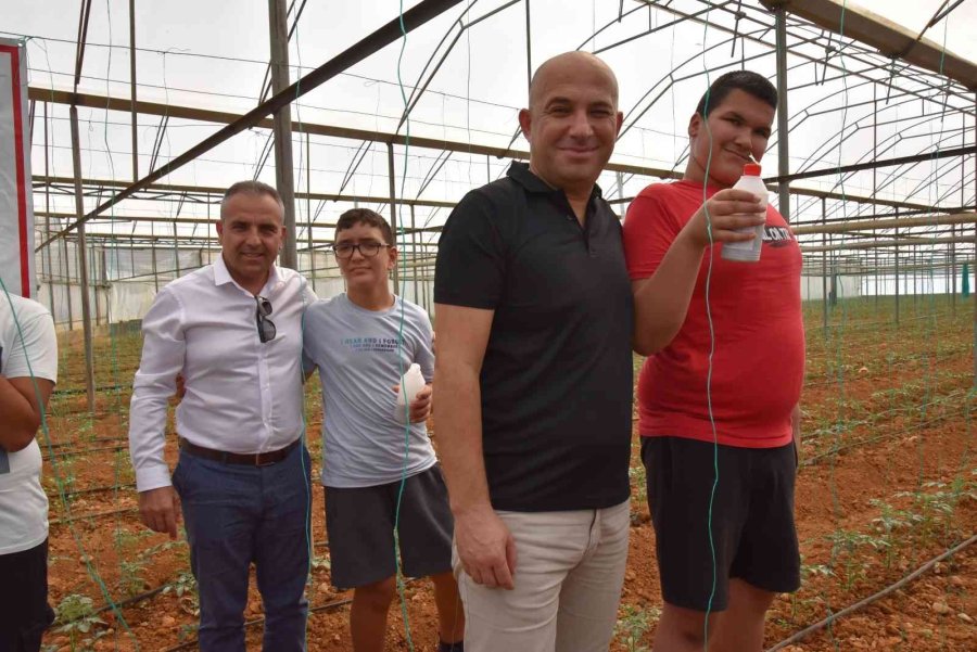 Otizmli Gençler Domates Serasına Faydalı Böcek Bıraktı