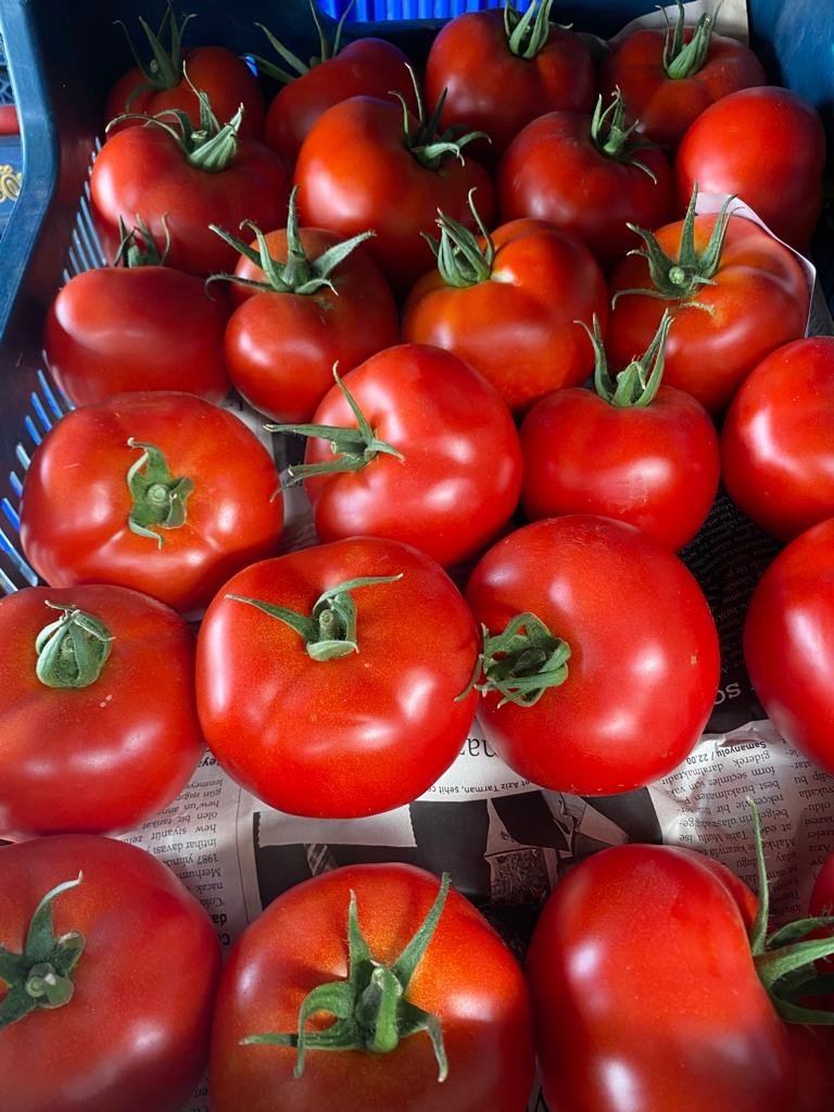 Biyolojik Mücadeleyle Üretilen Ürünler Daha Sağlıklı