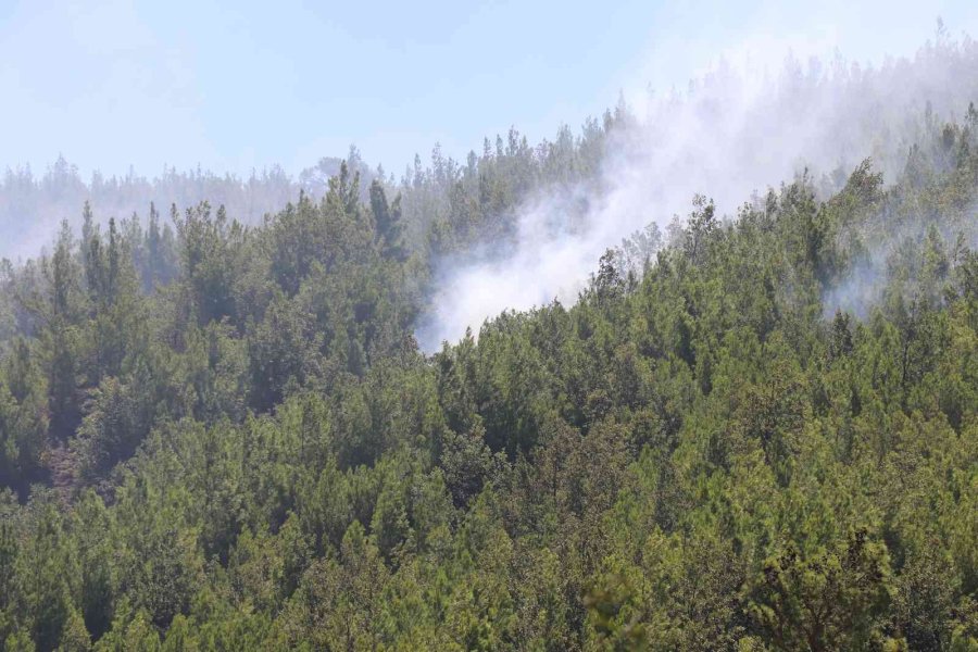 Alanya’daki Orman Yangını Kontrol Altına Alındı
