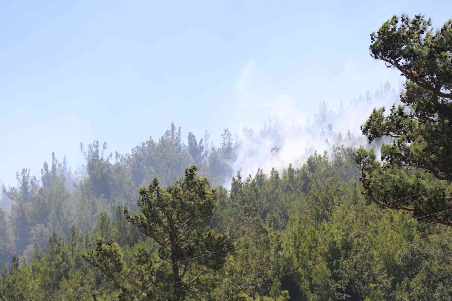 Alanya’daki Orman Yangını Kontrol Altına Alındı