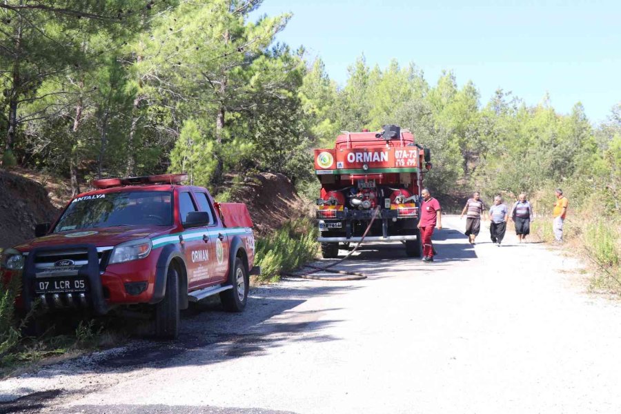 Alanya’daki Orman Yangını Kontrol Altına Alındı