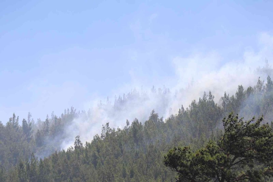 Alanya’daki Orman Yangını Kontrol Altına Alındı