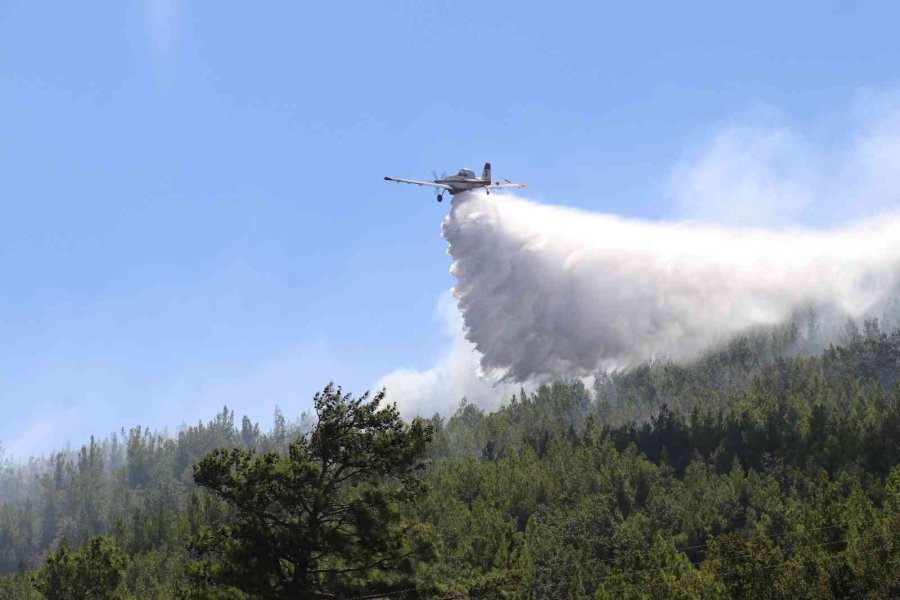 Alanya’daki Orman Yangını Kontrol Altına Alındı