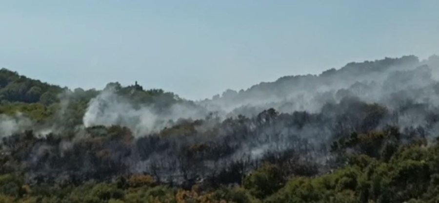 Demre’de Makilik Yangını Korkuttu