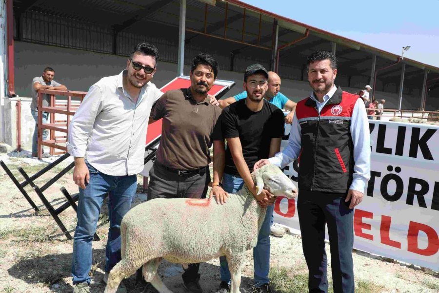 Yüzde 50 Hibeli Damızlık 44 Koç Çekilişle Sahiplerini Buldu