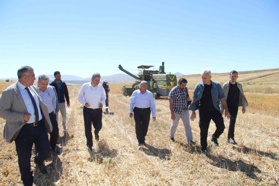 Bünyan’da Aspir Hasadını Başkanlar Yaptı