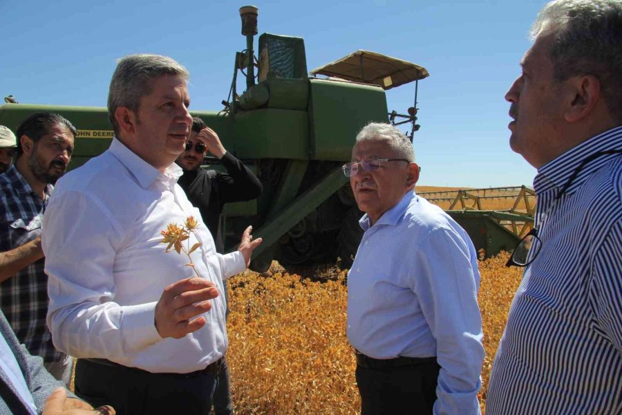 Bünyan’da Aspir Hasadını Başkanlar Yaptı