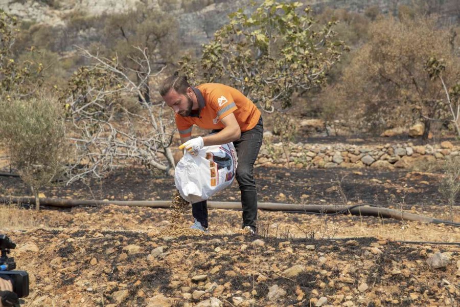 Yangın Bölgesindeki Hayvanlar İçin Mama Ve Su Bırakıldı