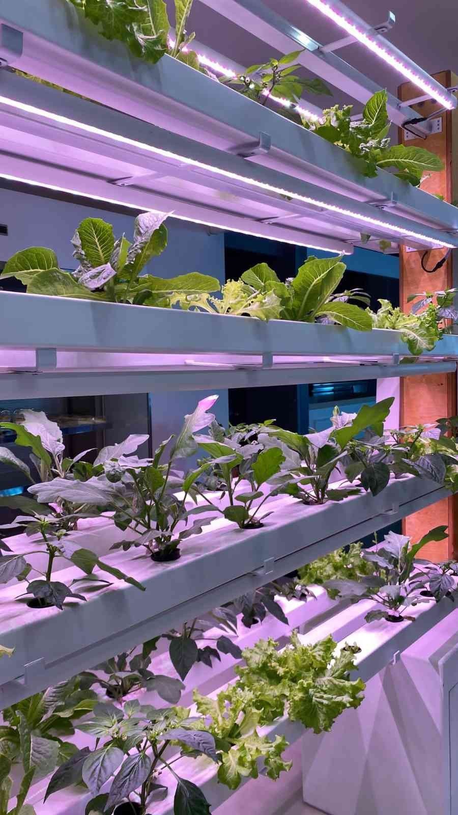 Atso’dan Tarım Teknolojileri Girişimcilik Ve İnovasyon Merkezi