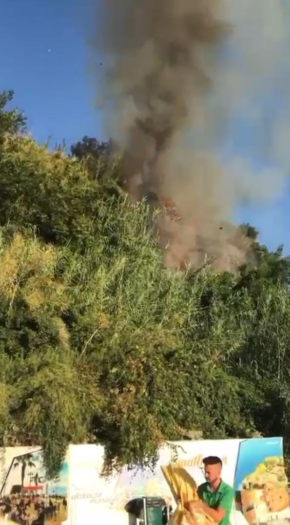 Antalya’da Plaja Yakın Bölgede Çıkan Yangın Korkuttu