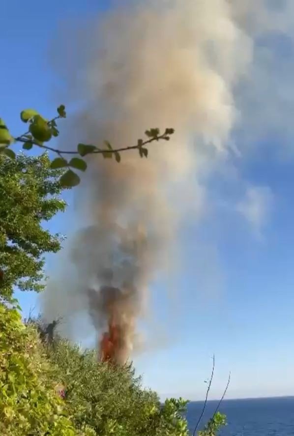 Antalya’da Plaja Yakın Bölgede Çıkan Yangın Korkuttu