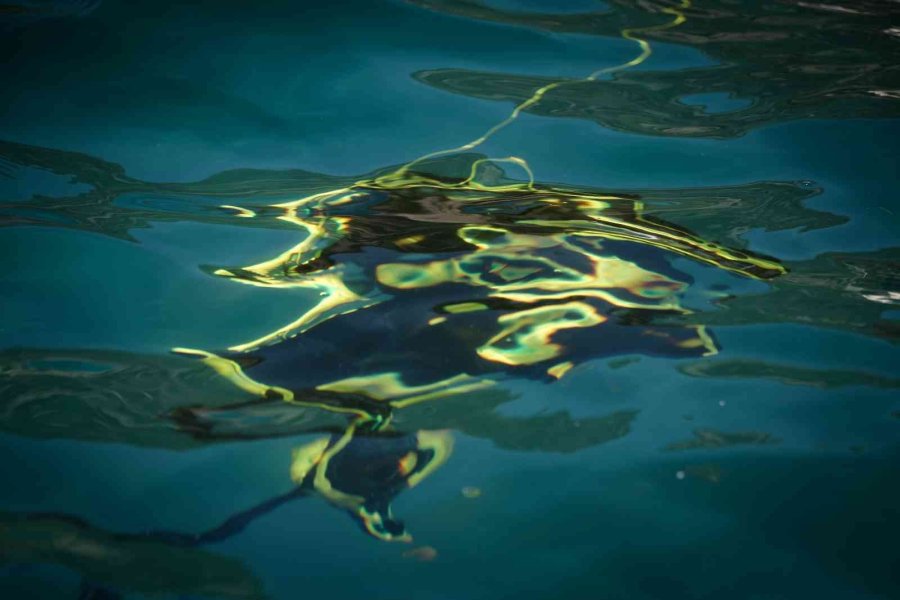 Caretta Carettalara Ölüm Saçan Hayalet Ağlar, Sualtı Robotuyla Temizleniyor