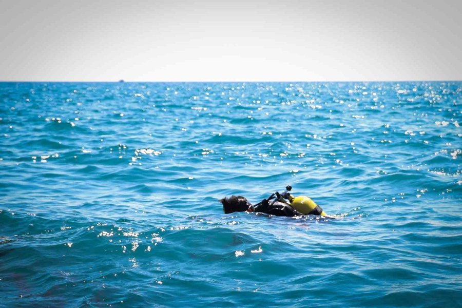 Caretta Carettalara Ölüm Saçan Hayalet Ağlar, Sualtı Robotuyla Temizleniyor