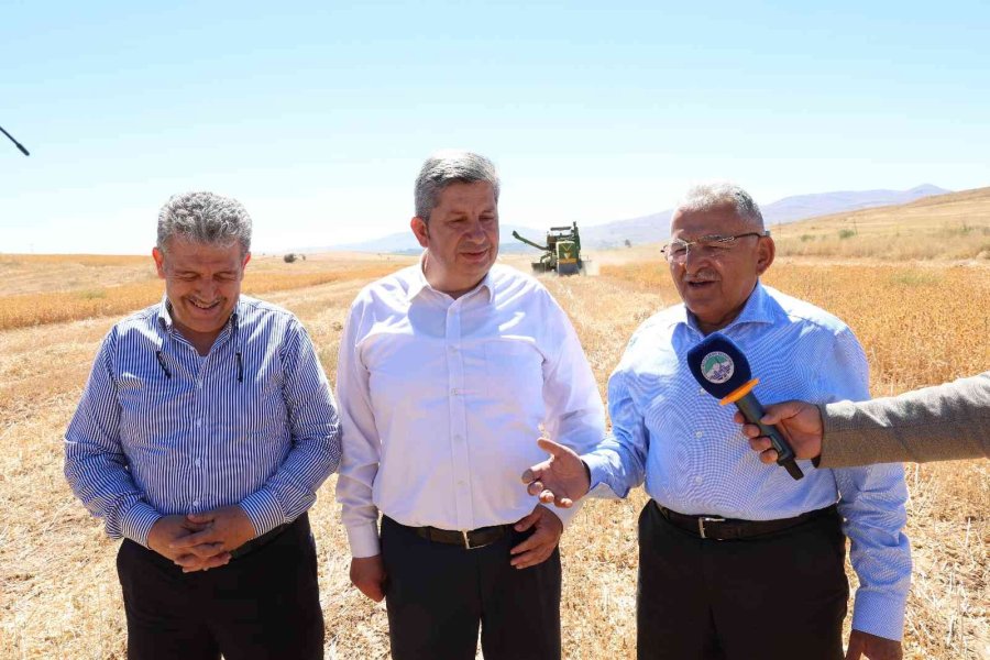 Başkan Büyükkılıç, Bünyan’da Biçerdöver Kullanarak, Aspir Hasadı Yaptı