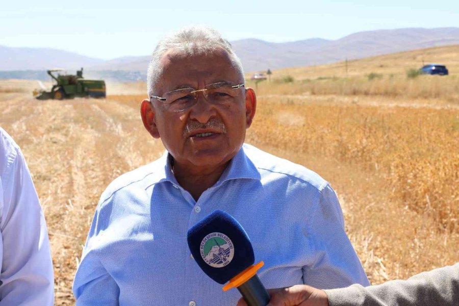 Başkan Büyükkılıç, Bünyan’da Biçerdöver Kullanarak, Aspir Hasadı Yaptı