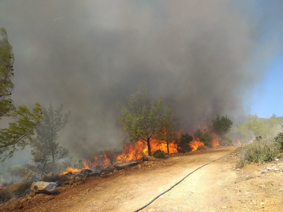 Büyükşehir İtfaiyesi, Mersin’deki Orman Yangınlarını İçin Canla Başla Görev Yaptı