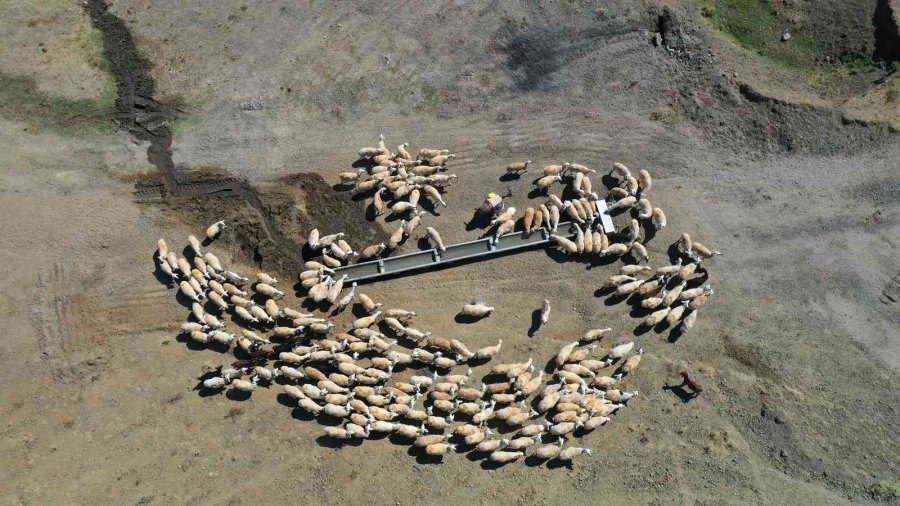 Konya Büyükşehir’in Hazırladığı Sıvatlar Hayvanlar İçin Can Suyu Oluyor