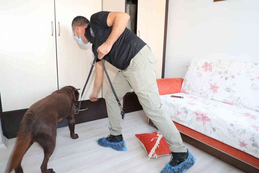 Mersin’deki Uyuşturucu Operasyonunda Gözaltı Sayısı 67’ye Çıktı