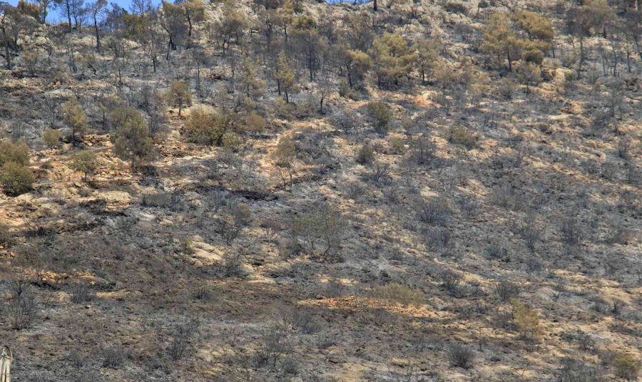 Mersin’deki Orman Yangını, Küle Dönen Bölge Havadan Görüntülendi