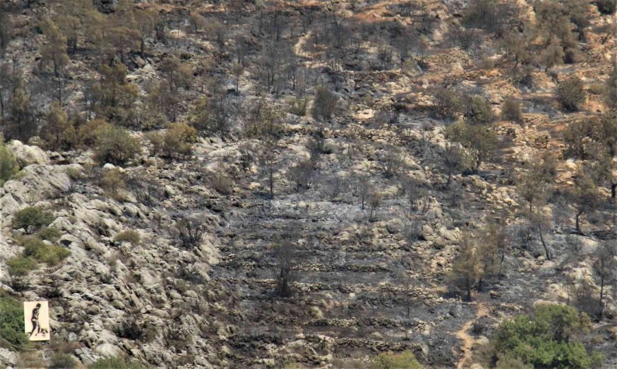 Mersin’deki Orman Yangını, Küle Dönen Bölge Havadan Görüntülendi