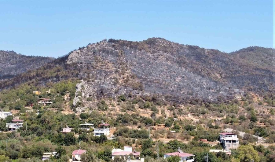Mersin’deki Orman Yangını, Küle Dönen Bölge Havadan Görüntülendi