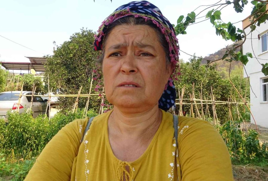 Mersin’deki Orman Yangını, Küle Dönen Bölge Havadan Görüntülendi