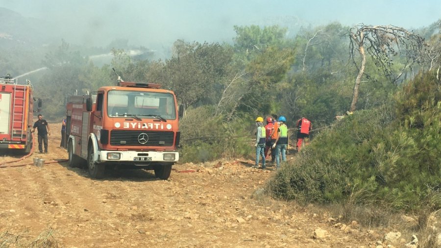 Mersin’deki Orman Yangını, Küle Dönen Bölge Havadan Görüntülendi