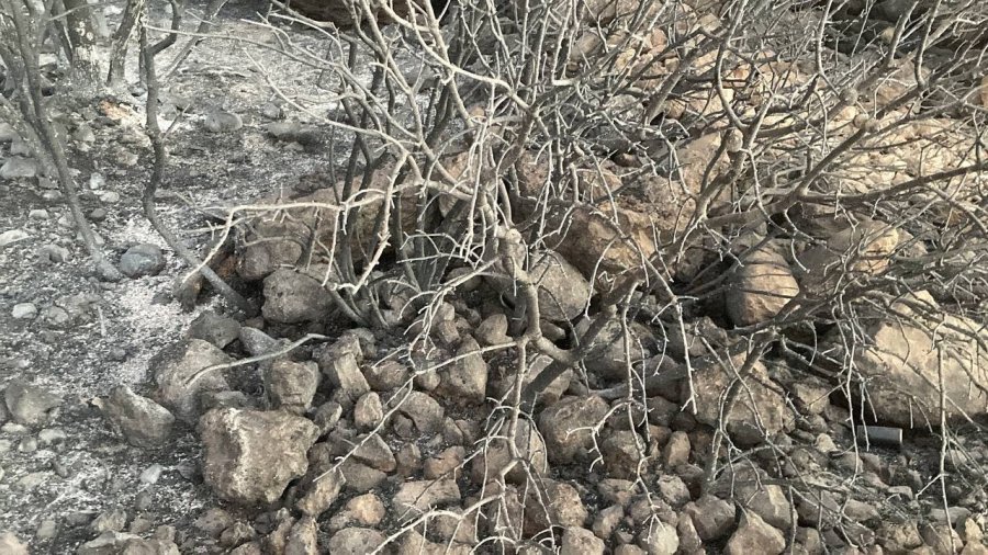 Mersin’deki Orman Yangını, Küle Dönen Bölge Havadan Görüntülendi