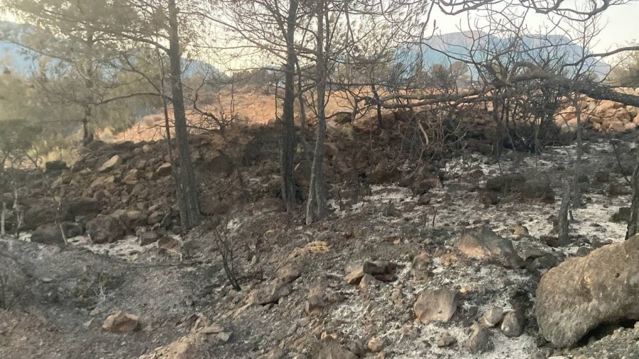Mersin’deki Orman Yangını, Küle Dönen Bölge Havadan Görüntülendi