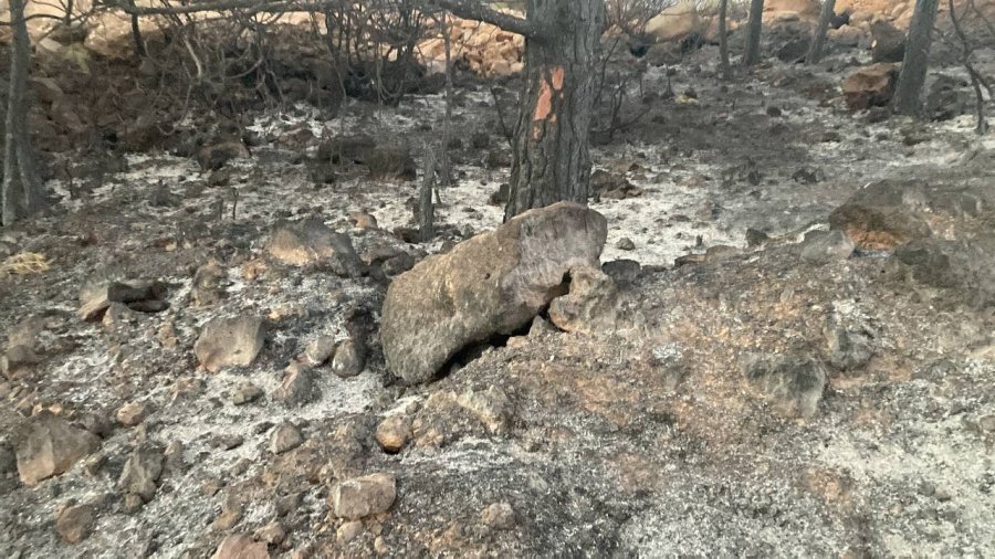 Mersin’deki Orman Yangını, Küle Dönen Bölge Havadan Görüntülendi