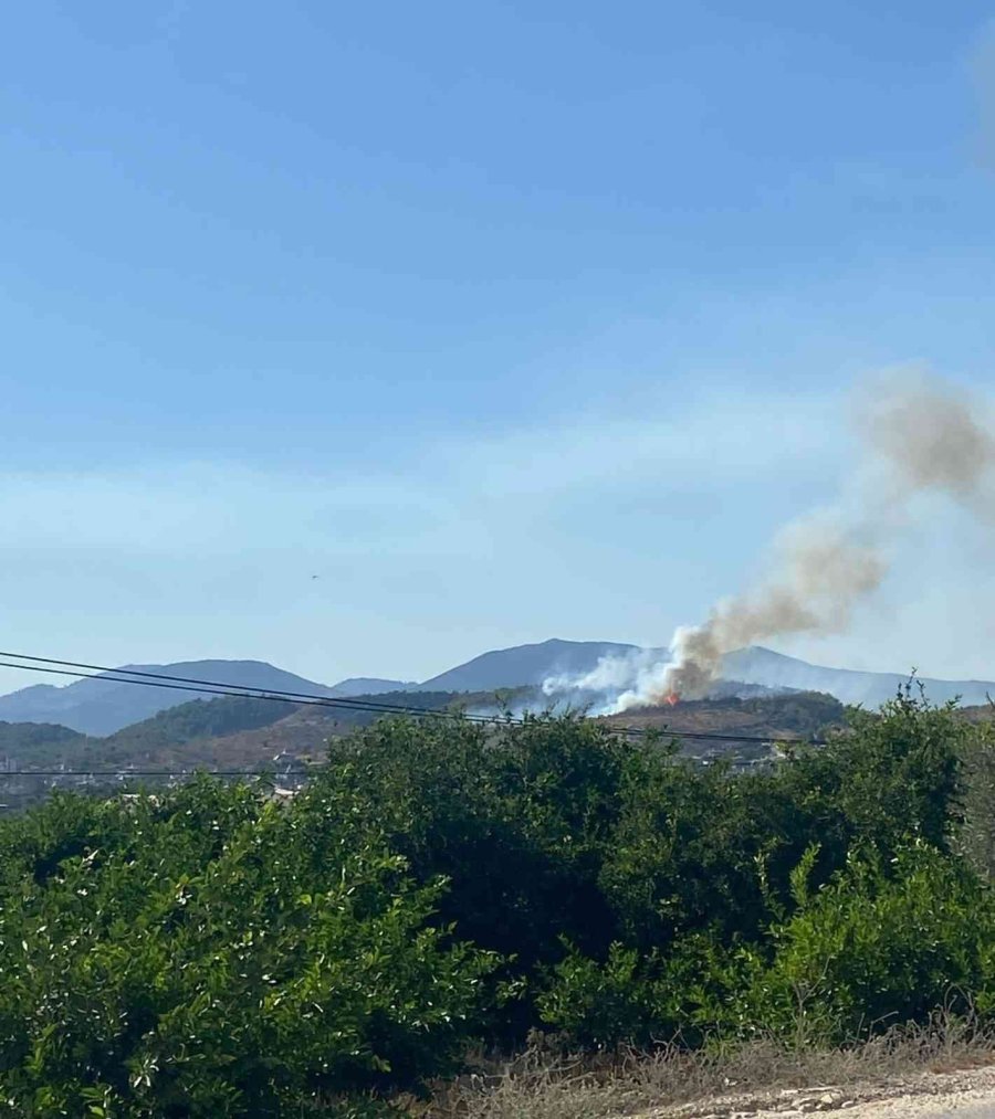Mersin’de Orman Yangınına Müdahale Ediliyor