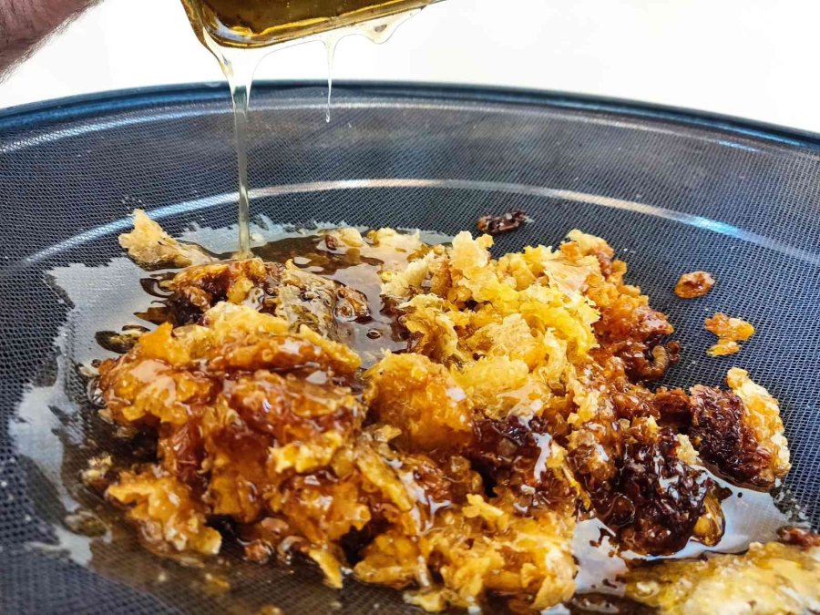 Ziraat Öğrencilerinin Uygulamalı Eğitim Aldığı Kovanlarda Verim Bu Yıl 300 Kiloyu Aşacak