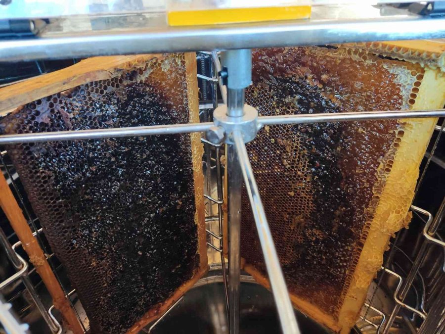 Ziraat Öğrencilerinin Uygulamalı Eğitim Aldığı Kovanlarda Verim Bu Yıl 300 Kiloyu Aşacak