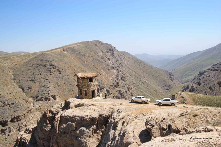 Aladağlar’da Vaşak Görüntülendi