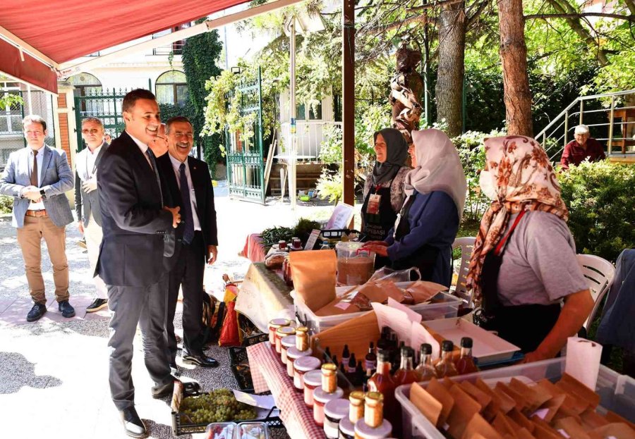 Örnek Projeye Övgü