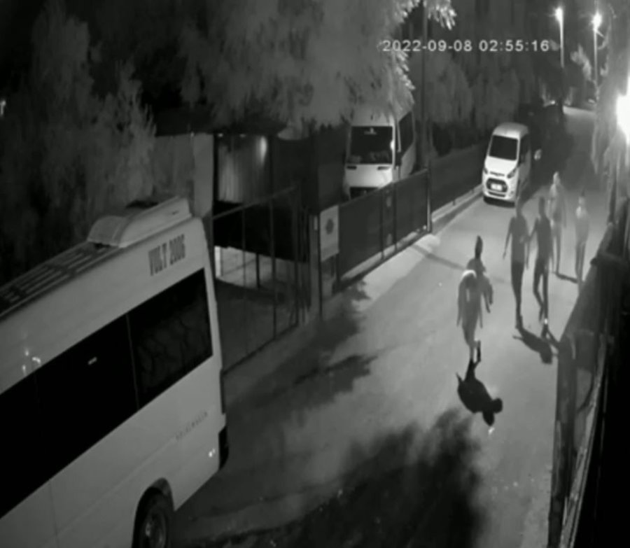 Yavruyken Aldığı Can Dostu Gözlerinin Önünde Otomobilin Altında Kaldı, Gözyaşlarına Boğuldu