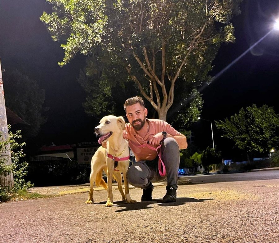 Yavruyken Aldığı Can Dostu Gözlerinin Önünde Otomobilin Altında Kaldı, Gözyaşlarına Boğuldu