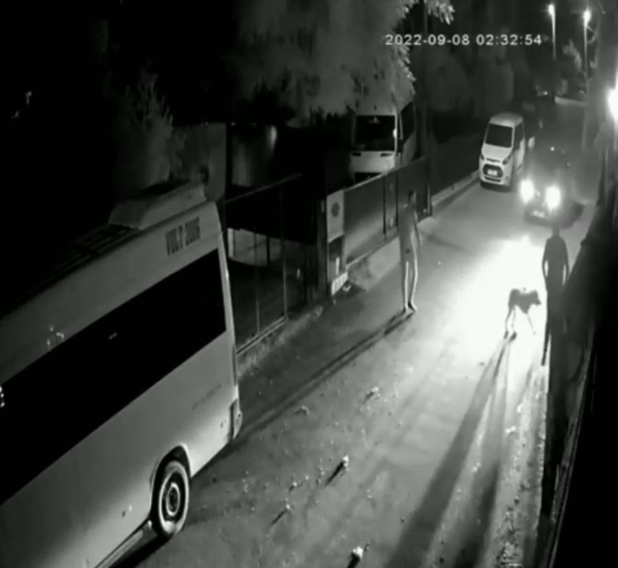 Yavruyken Aldığı Can Dostu Gözlerinin Önünde Otomobilin Altında Kaldı, Gözyaşlarına Boğuldu