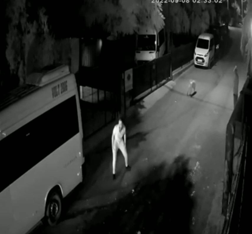 Yavruyken Aldığı Can Dostu Gözlerinin Önünde Otomobilin Altında Kaldı, Gözyaşlarına Boğuldu