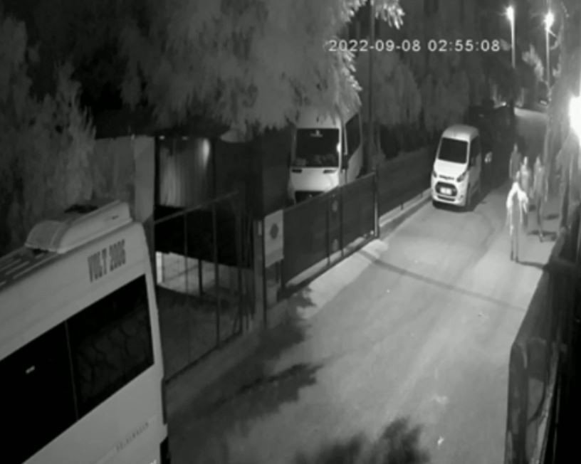 Yavruyken Aldığı Can Dostu Gözlerinin Önünde Otomobilin Altında Kaldı, Gözyaşlarına Boğuldu